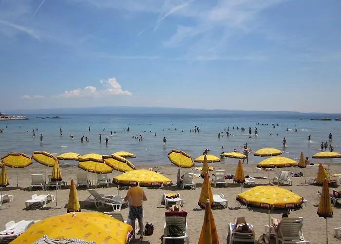 Apartment Sugar Flat